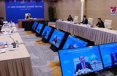 越南与亚太经合组织成员国凝心聚力共谋发展