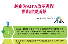 图表新闻：越南为AIPA改革进程做出重要贡献