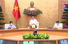 政府8月份例行会议: 越南经济社会仍保持稳定并取得积极成效       