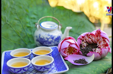 西湖莲花茶——首都河内人的文化精髓 