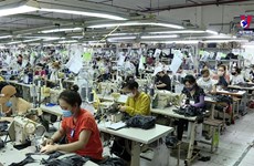 经济学家高度评价越南制造业的优势