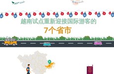 互动图表：越南试点重新迎接国际游客的7个省市