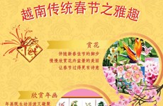 图表新闻：越南传统春节之雅趣