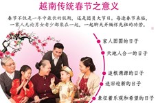 图表新闻：越南传统春节之意义