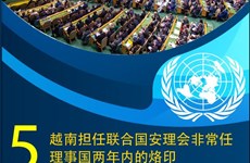 图表新闻：越南担任联合国安理会非常任理事国两年内的5大烙印