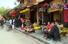 会安古镇——追溯民族传统文化之源的一次春游