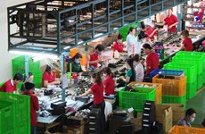 越南鞋类产品出口在全球市场所占份额首次超过10%