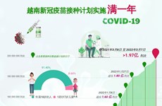 互动图表：越南新冠疫苗接种计划实施满一年