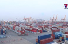 今年前5月中国是越南最大的进口市场