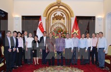 越新两国外交部举行第十次政治磋商会议