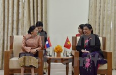 国会副主席丛氏放在金边与老挝国会主席巴妮•雅陶都进行双边会晤