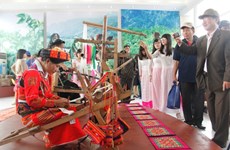 越马印尼文化周举行在即