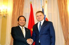 越南与斯洛伐克加强合作， 提升两国关系水平