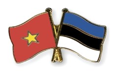 越南和爱莎尼亚举行外交部副外长级政治磋商