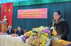 越南国会领导继续与各地选民接触