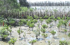 槟椥省开展应对气候变化的非工程措施