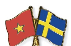 越南与瑞典促进经贸合作