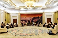 中国全国政协副主席万钢会见越南代表团