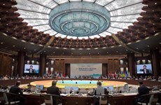 越南参加二十国集团峰会协调人会议