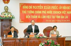 阮春福总理：嘉莱省应进一步维护与弘扬锣钲文化价值