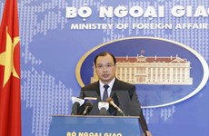 越南外交部发言人：要求中国立即停止侵犯越南对黄沙群岛主权的一切行为