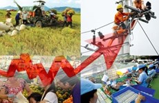 2016年河内市地区生产总值同比增长8.5%