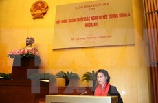 越南国会党组贯彻落实越共十二届四中全会决议