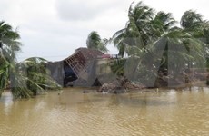 越南外交部为中部以南及西原地区受洪灾影响群众发起募捐