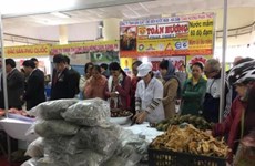 越南年终农产品展销会在河内开展