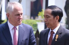 澳大利亚与印尼承诺保持双边关系