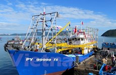 越印加强海洋和渔业合作