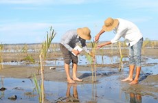越南积极参加东盟有关环境保护的活动