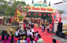 “果园春色”节在芹苴市举行