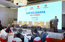 越南与加拿大加强务实合作