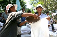 政府继续向嘉莱和得乐两省向困难群众发放大米 