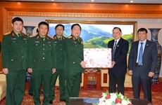 国防部长吴春历大将走访越南老战士协会中央委员会送上新春祝福