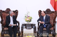 越南政府总理阮春福接受联合国开发计划署驻越代表递交委任书