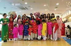 旅居日本神户市越南人举行喜迎2017年丁酉春节活动
