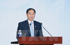 越南外交部副部长裴青山：越南为2017年APEC峰会的成功举办做好准备
