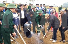 邓氏玉盛副主席出席和平省 2017丁酉年新春植树节启动仪式