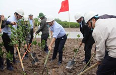 世界湿地日：越南努力做好湿地保护工作