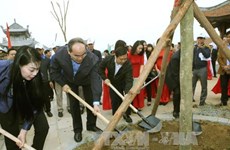 越南祖国阵线中央委员会主席阮善仁出席新春植树活动