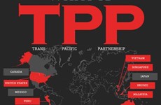 新加坡贸工部：没有美国的TPP仍是一条可行的路径