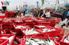 平定省渔民年初出海渔获丰收