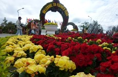 2017年大叻春季花卉节吸引10万人次前来参观游览