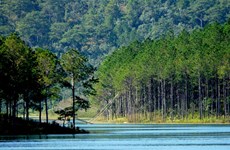 越南林同省大叻市泉林湖被公认为国家级风景区
