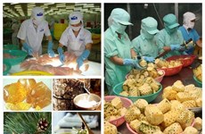 2017年越南出口活动将集中于优势产业