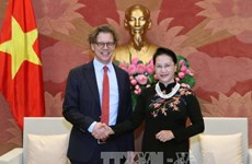 越南国会主席阮氏金银会见瑞典与匈牙利驻越大使