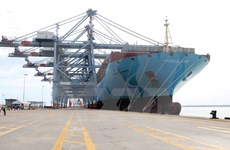越南国际盖梅海港迎接有史以来最大集装箱船