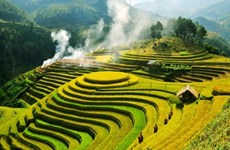 越南安沛省姆庚寨梯田跻身全球五十大最美的旅游景点